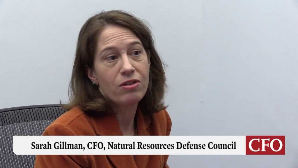 Nonprofit CFOs balance the cause, fiscal responsibility, compliance.