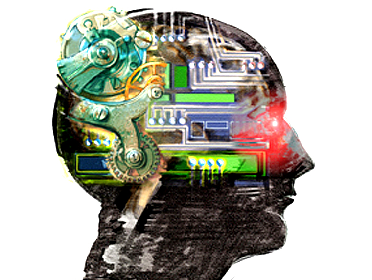 brain cognitive biases
