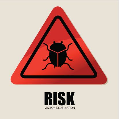 software bug