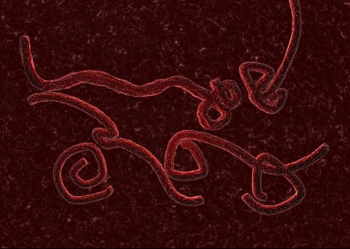 ebola