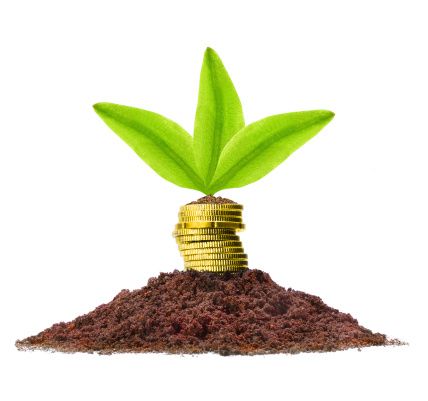 seed money