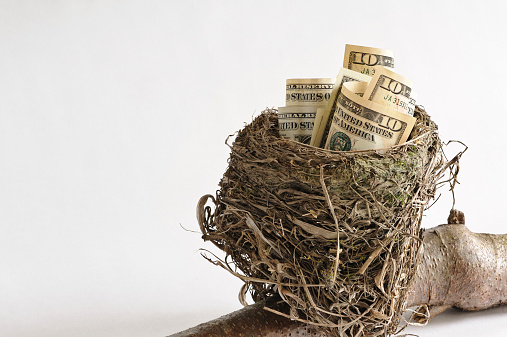 nest egg