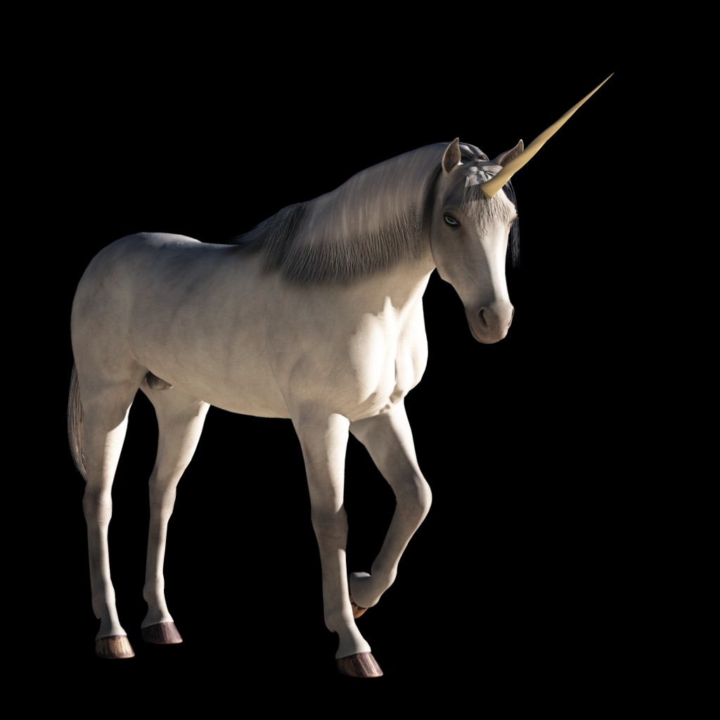 Unicorn
