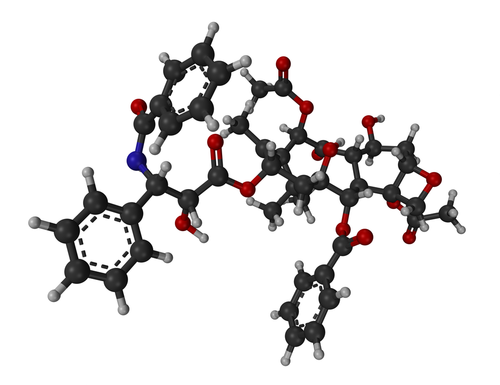 Cancer Drug Paclitaxel