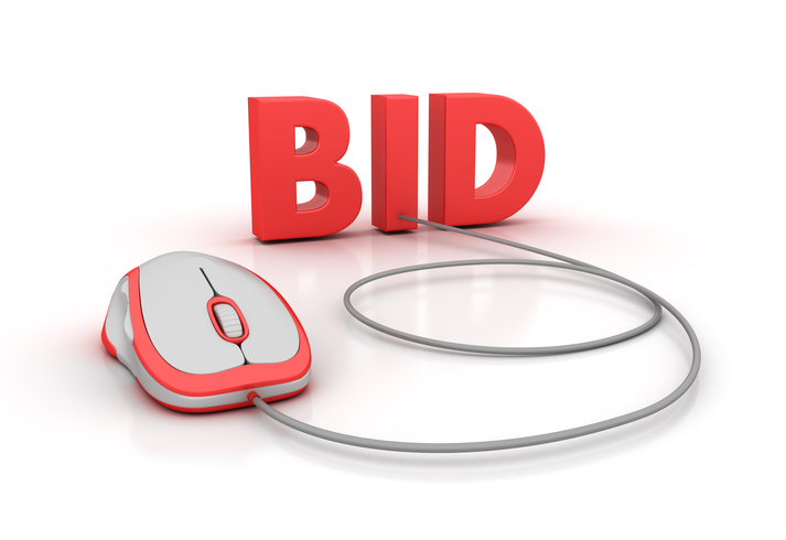 Bid, Fitbit Bid, Fitbit