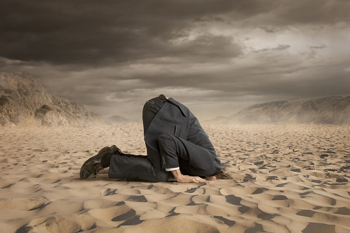 headINSAND_small head in sand corporate crisis