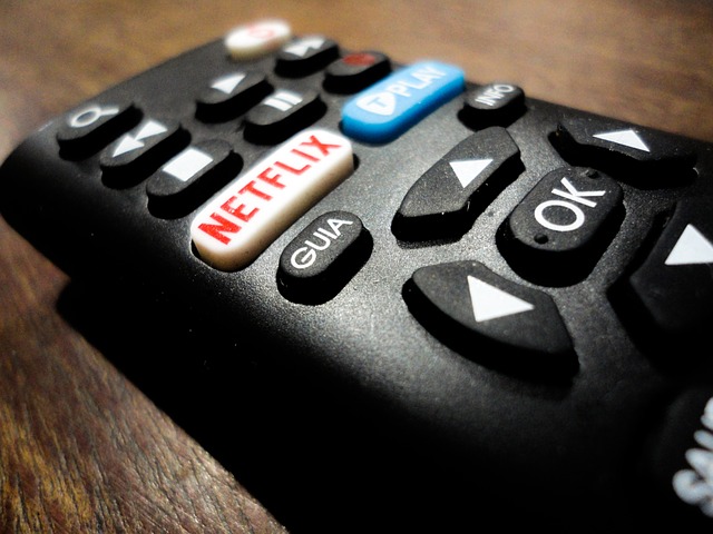 netflix-2705725_640